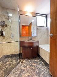 Tanglin View (D3), Condominium #482776451